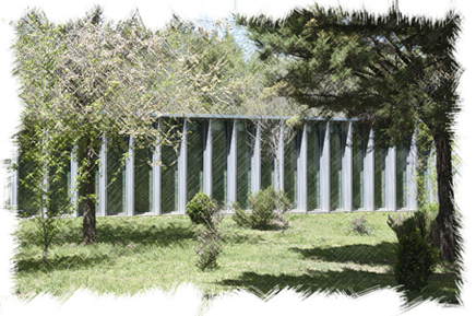 Portada Educación Ambiental. foto. CIAG