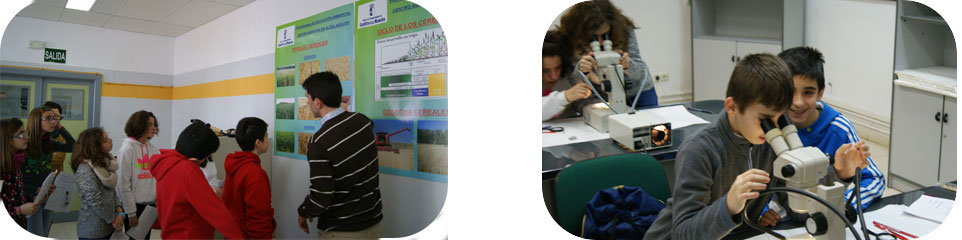 CIAF. Educación Ambiental. IRIAF