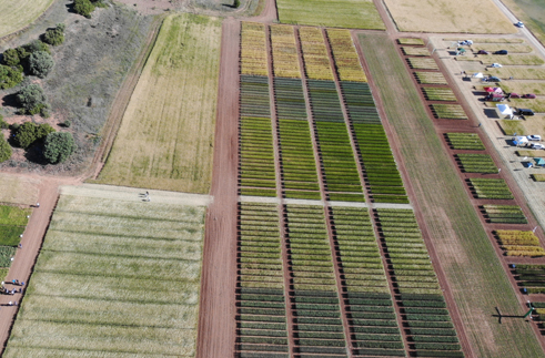 CIAF. Ecofisiología Vegetal. IRIAF