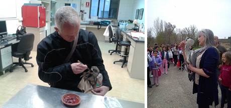 CIAF. Recuperación de Fauna Silvestre. IRIAF