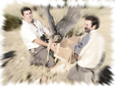 CIAG. Agentes Mediambientales. IRIAF