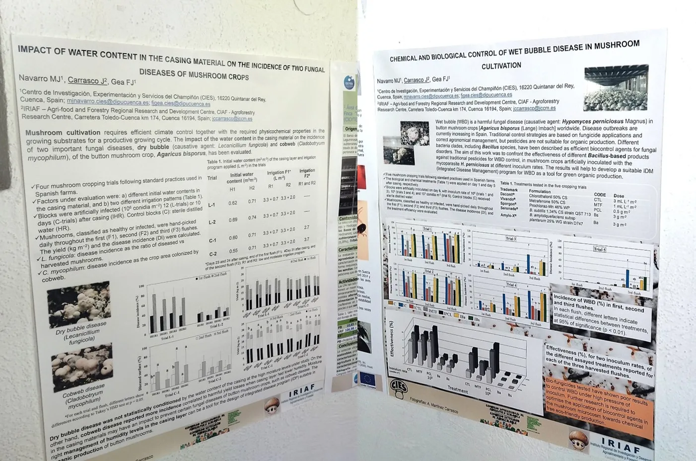 XV Congreso Internacional de Agricultura Ecológica 1