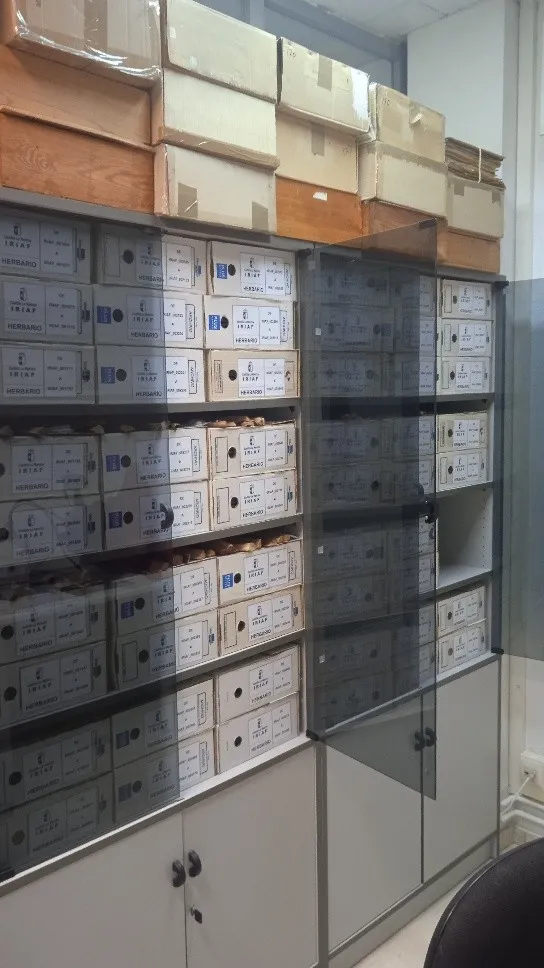 Vista parcial del Herbario IRIAF en CIAF Albaladejito (Cuenca)