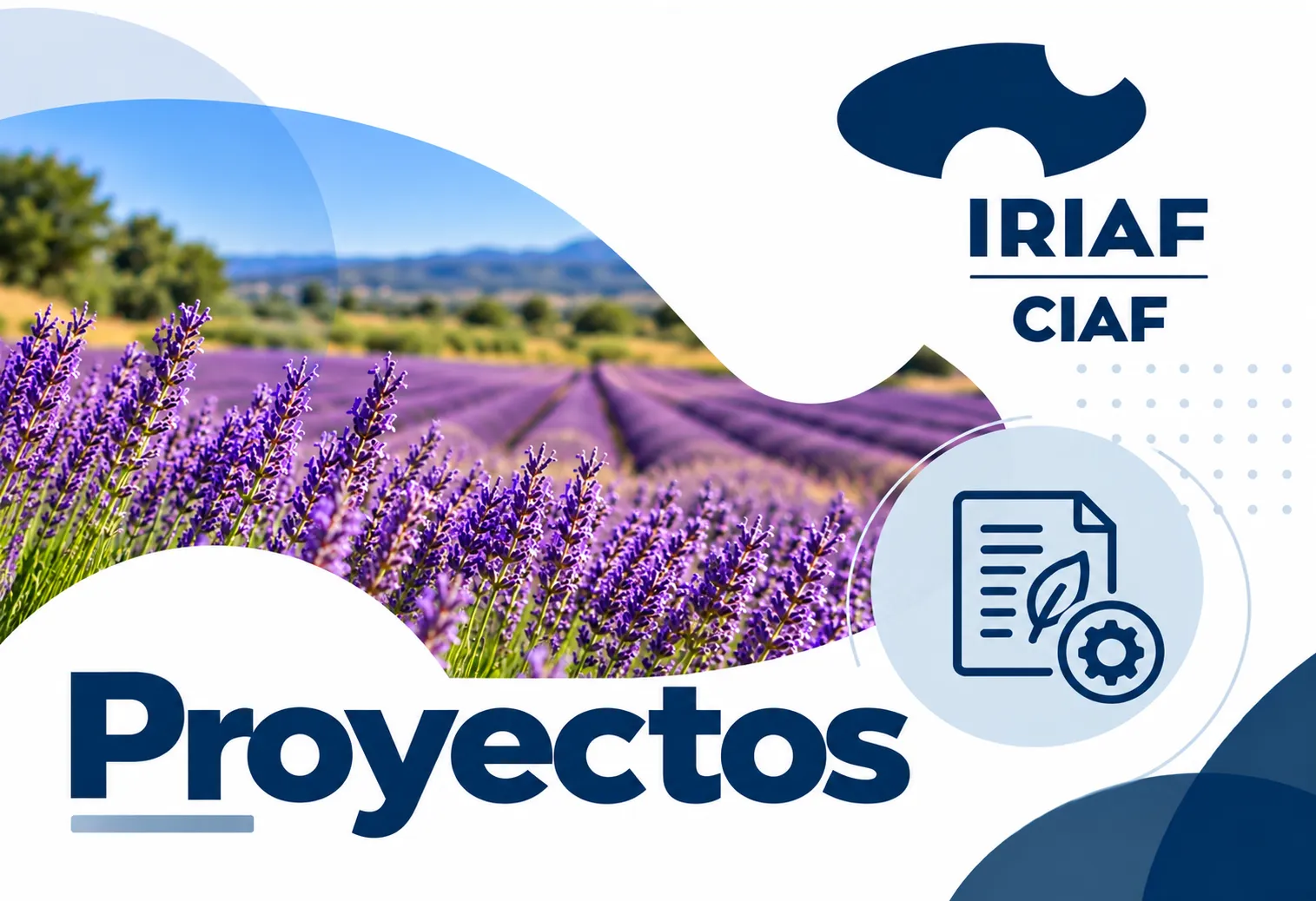 Proyectos CIAF